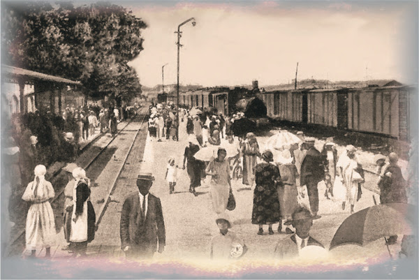 07 - Mamaia tren 1