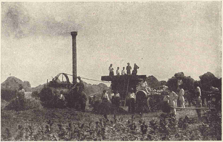 1930_Treierat_cu_batoza