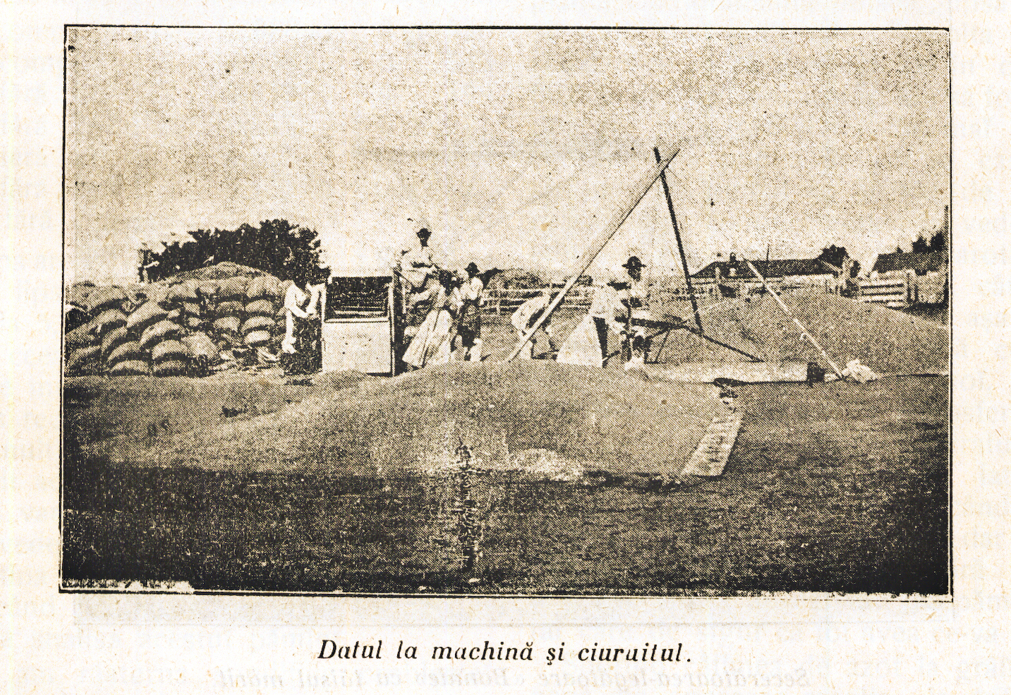 datul-la-machinc483-light