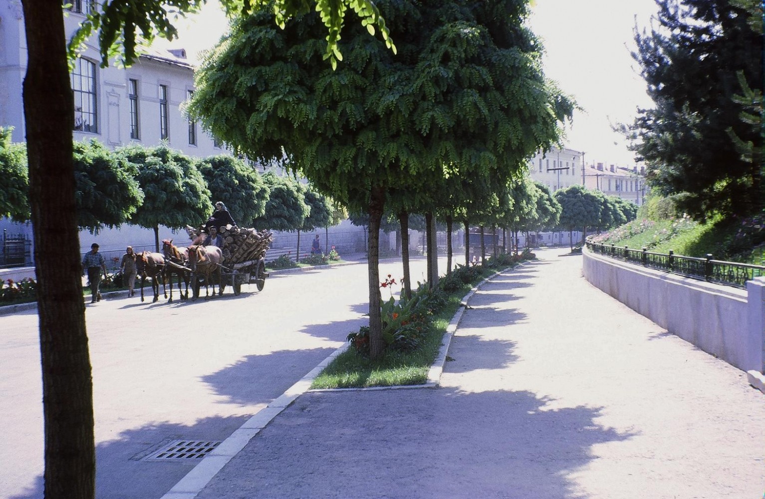 Iasi