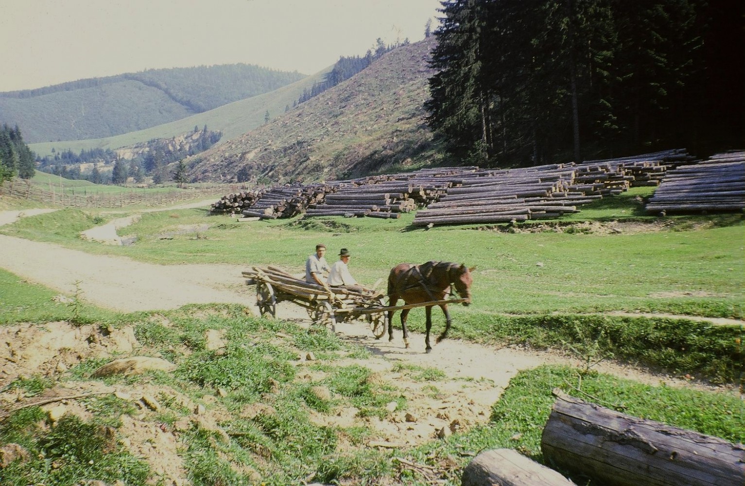 Langa Putna