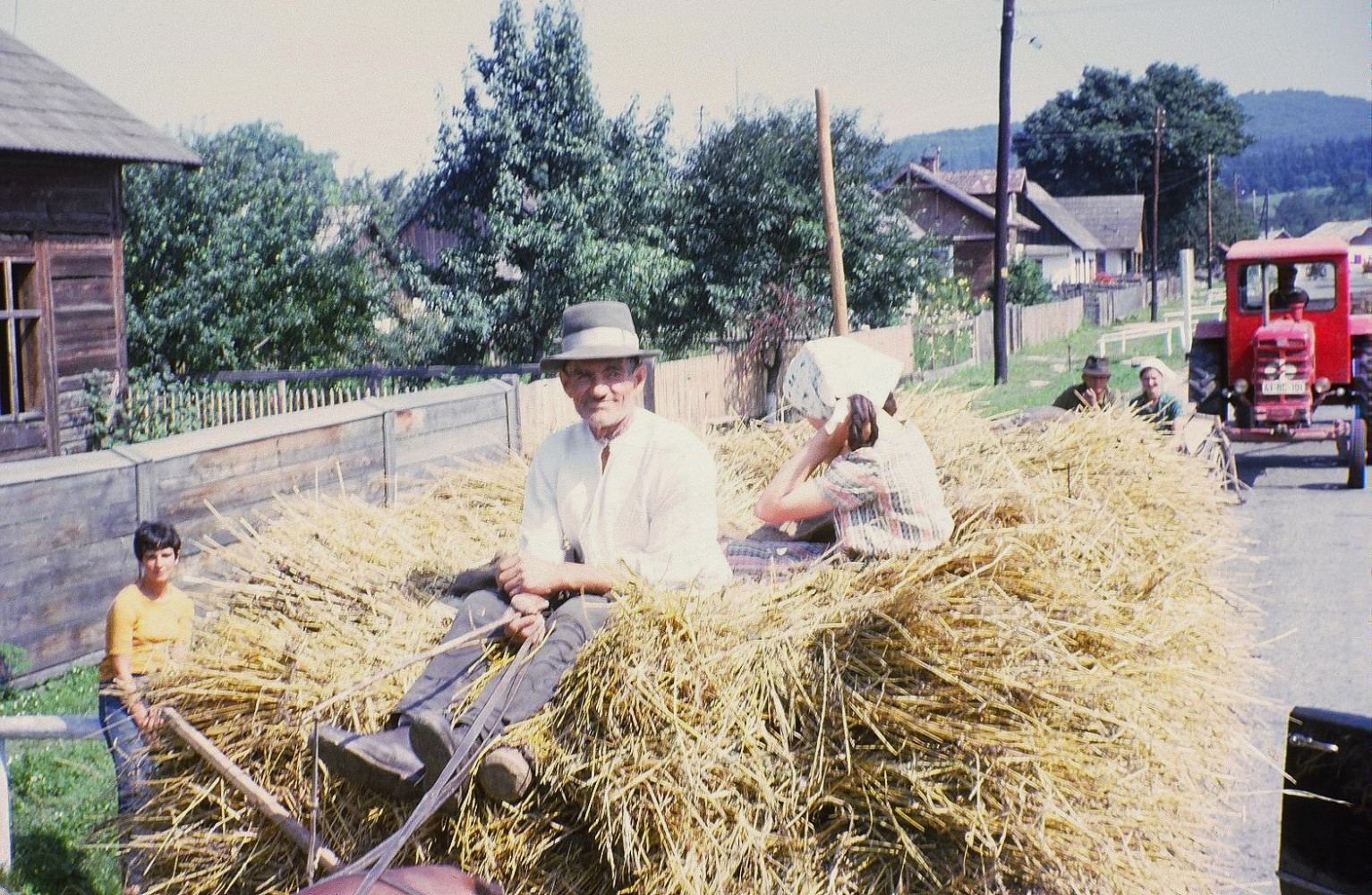 Langa Suceava