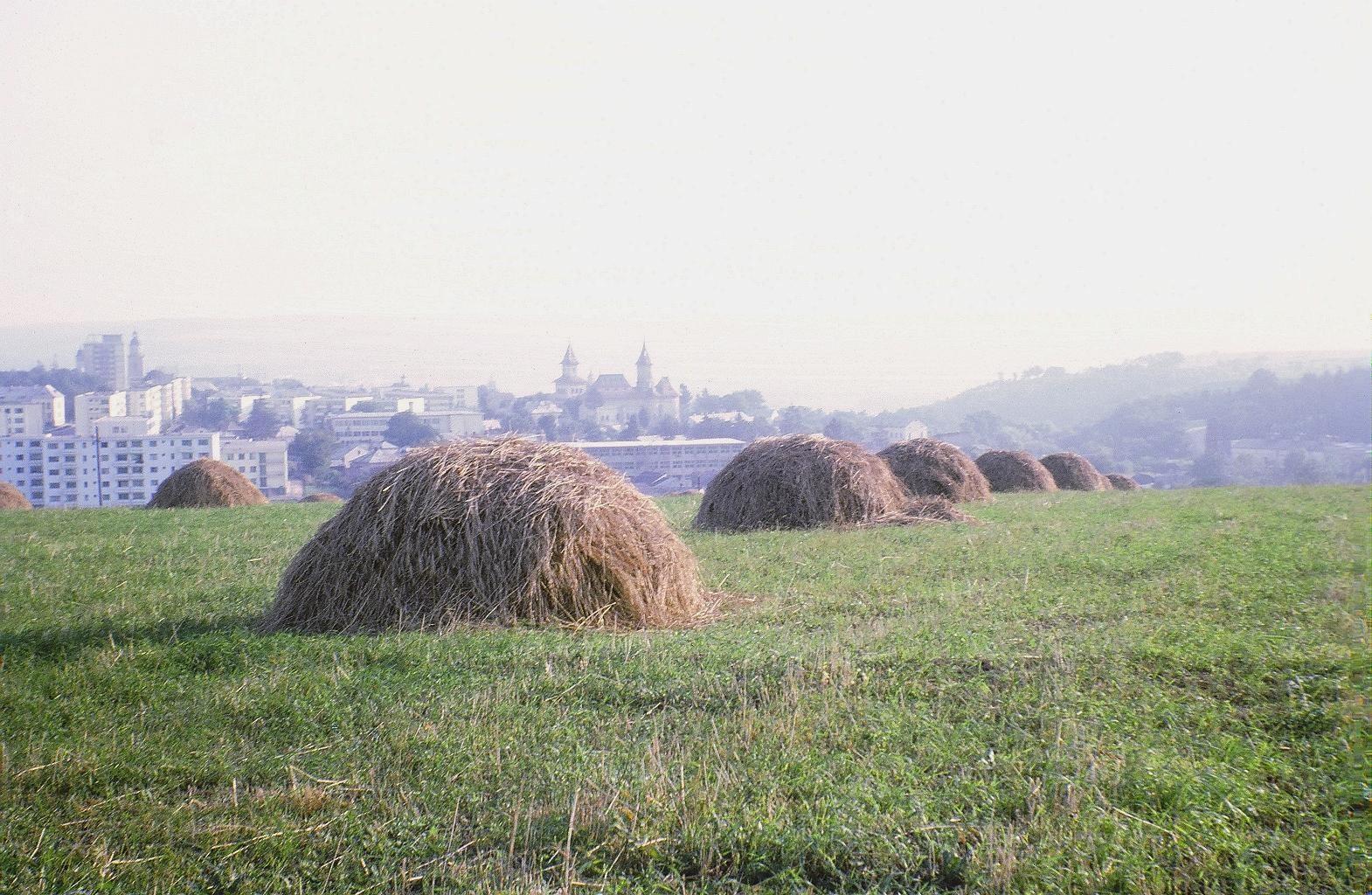 Suceava - dimineata devreme