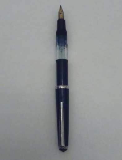 pionier2
